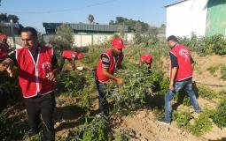 الوحدة العمالية تنفذ يوما تطوعيا دعما للمزارعين
