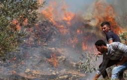 مواطنون يحاولون إطفاء نيران أشعلها المستوطنون في أراضيهم