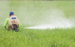 الزراعة بغزة تنفي وجود قرار يمنع استيراد المبيدات