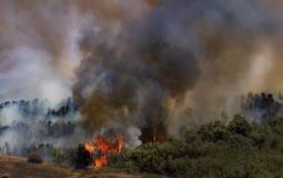 حريق في غلاف غزة بفعل البالونات الحارقة - ارشيفية