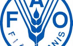 منظمة الأغذية والزراعة للأمم المتحدة "فاو"