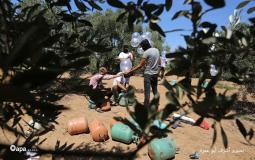 غزة: شبان فلسطينيون يطلقون بالونات حارقة تجاه إسرائيل