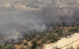 مستوطن يضرم النار في مئات أشجار الزيتون غرب رام الله