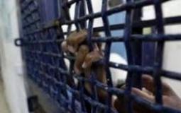 78 معتقلة يواجهن الموت في سجن الدامون