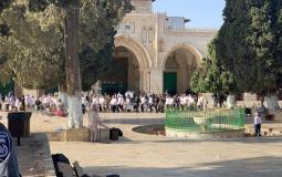 اقتحام قوات الاحتلال والمستوطنين للأقصى