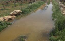 مستوطنون يغرقون أراضي زراعية بالمياه العادمة جنوب بيت لحم