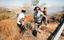 مستوطنون يحرقون أراضي المواطنين الفلسطينيين  - إرشيفبة -