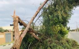 الاعطال في خطوط الكهرباء بقطاع غزة اليوم