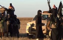 تنظيم داعش في سيناء
