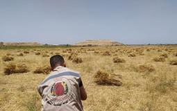 هندسة المتفجرات بغزة تتعامل مع قذيفة قديمة من مخلفات الاحتلال