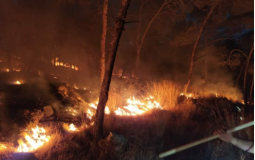الدفاع المدني يسيطر على حريق كبير اندلع بأحراش شرق طولكرم
