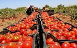 منتجات زراعية فلسطينية