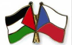 علم فلسطين والتشيك