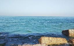 شاهد: وفاة أمريكي غرقا أثناء عرضه الزواج على حبيبته