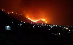 حرائق في غابات قوراية بولاية تيبازة الجزائرية