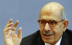 مدير وكالة الطاقة الذرية المصرية السابق، محمد البرادعي