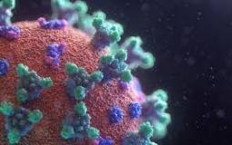 فيروس كورونا  - توضيحية