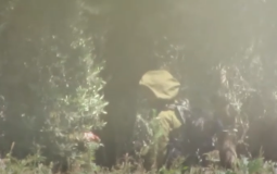 ألوية الناصر تنشر فيديو للحظة قنص جندي إسرائيلي على حدود غزة