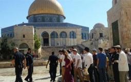 مستوطنون يقتحمون المسجد الأقصى