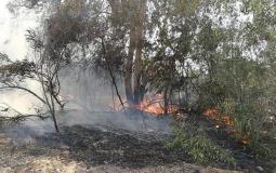 حريق في أحراش إسرائيلية بغلاف غزة بسبب بالون حارق- أرشيفية