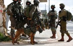 جيش الاحتلال الإسرائيلي- ارشيفية