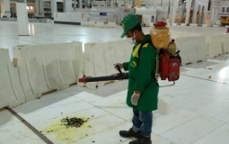 الصراصير تغزو الحرم في مكة - السعودية