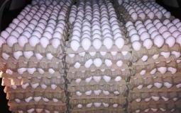 إحباط محاولتين تهريب 12 ألف بيضة في الضفة الغربية