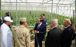 مصر تفتتح مشروعات زراعية 