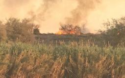 حريق هائل في غلاف غزة بفعل البالونات الحارقة