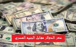 سعر الدولار مقابل الجنيه المصري اليوم السبت