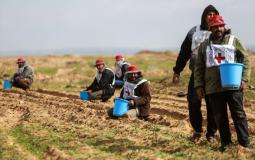 مزارعون في اراضهم قرب حدود غزة