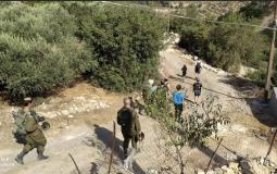 مستوطنون يقتحمون قرية الولجة غرب بيت لحم