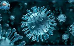 فيروس كورونا - توضيحية