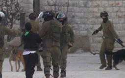 جنود الاحتلال يخوفون طفل بالكلاب