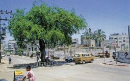 غزة - توضيحية