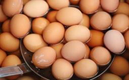 يوم البيض العالمي