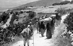 تهجير الفلسطينيين عام 1948 - توضيحية