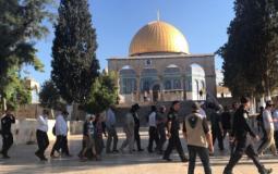 مستوطنون يقتحمون ساحات المسجد الأقصى بحماية الشرطة الاسرائيلية 