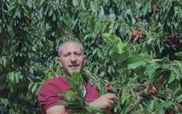 سامر العربيد