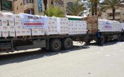 مساعدات إماراتية إلى غزة - أرشيف