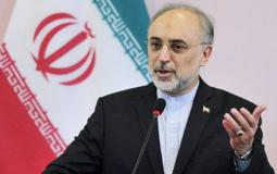 رئيس منظمة الطاقة الذرية الإيرانية على أكبر صالحي