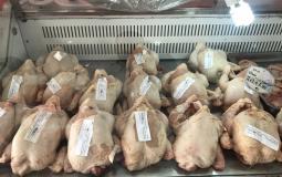  الدجاج المبرد - توضيحية