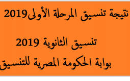 نتيجة تنسيق المرحلة الاولى 2019 بالاسم عبر بوابة الحكومة المصرية