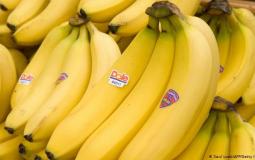 الموز تتغير قيمته الغذائية بتغير لونه.. إليك أنواعه