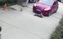 مواطن يدهس حفيده الطفل في قلقيلية -توضيحية-