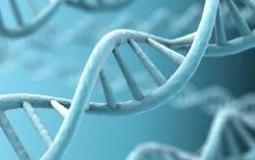 اكتشاف 200 طفرة جينية قد تسبب السرطان