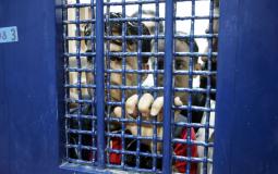 أبو بكر: إدارة سجون الاحتلال تراجعت عن قرار حجر اسرى في سجن عسقلان