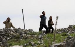 مستوطنون يهاجمون الاراضي الزراعية الفلسطينية في نابلس