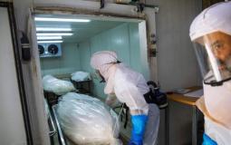 كورونا في إسرائيل 