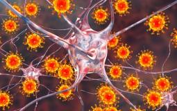 1.7 مليون فيروس قد تصيب الانسان مصدرها واحد